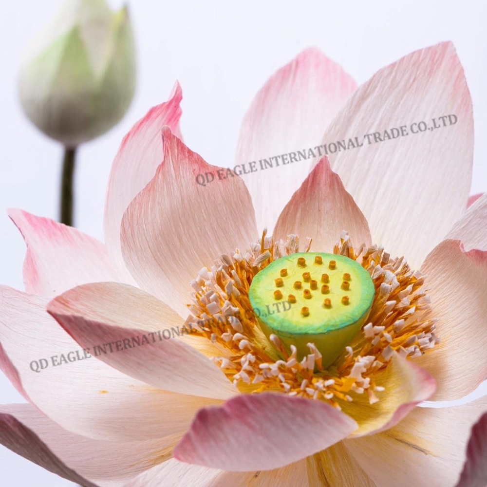 New best selling 30-150cm diameter artificial paper lotus flowers for outdoor display wedding party event decoration