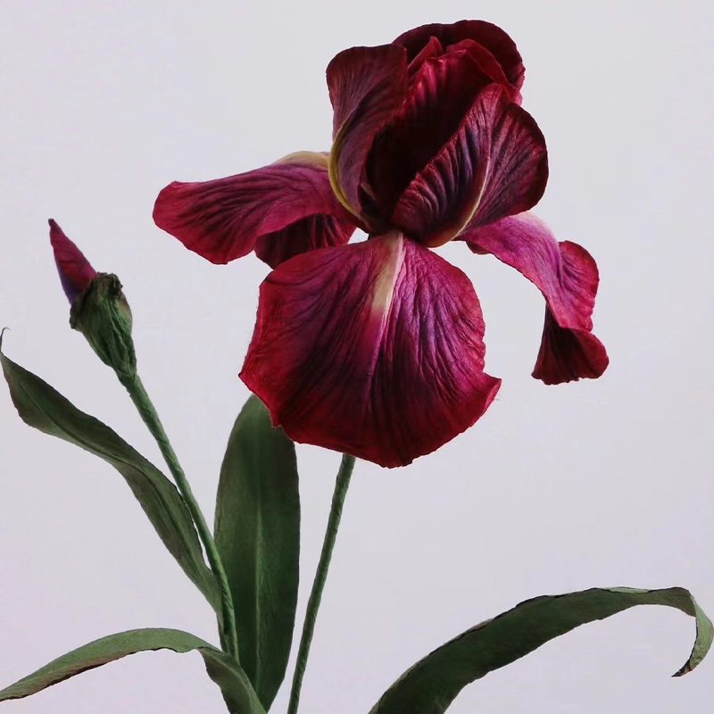 Handmade paper red color iris giant flower